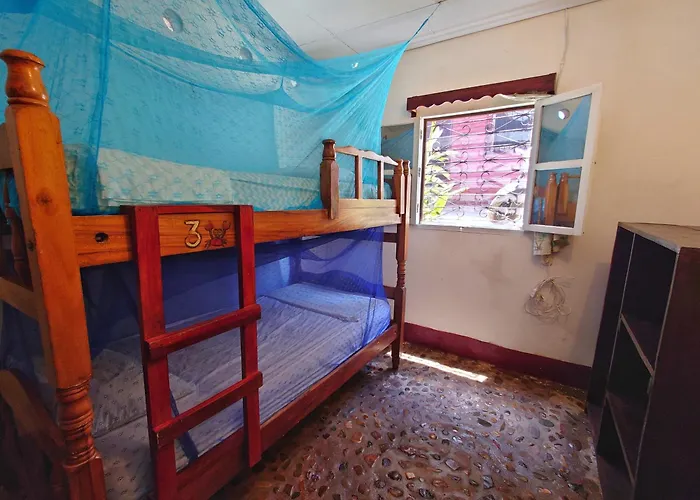Monkey House Hostel